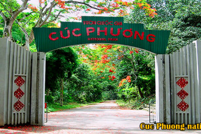 cuc phuong national park tour
