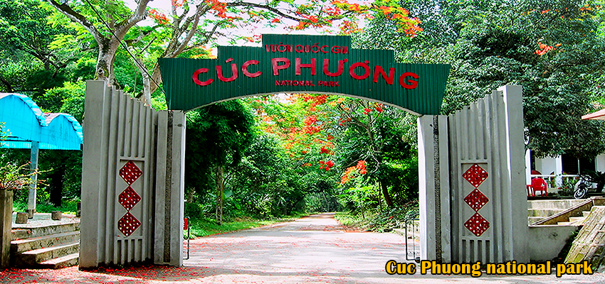 cuc phuong national park tour