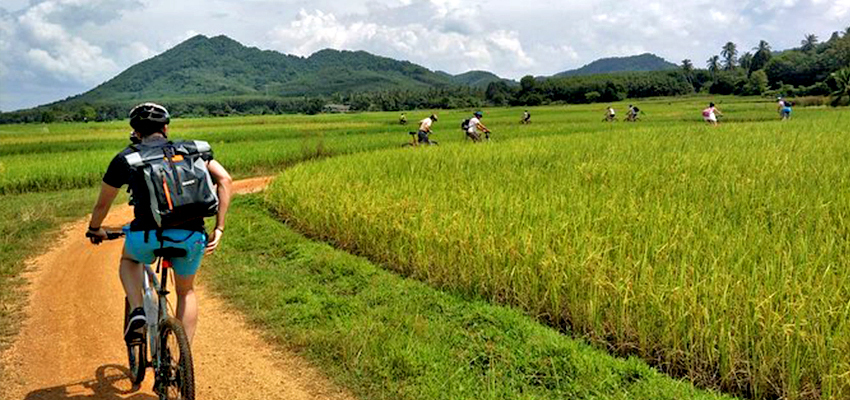 Vietnam Transportation by Cycling